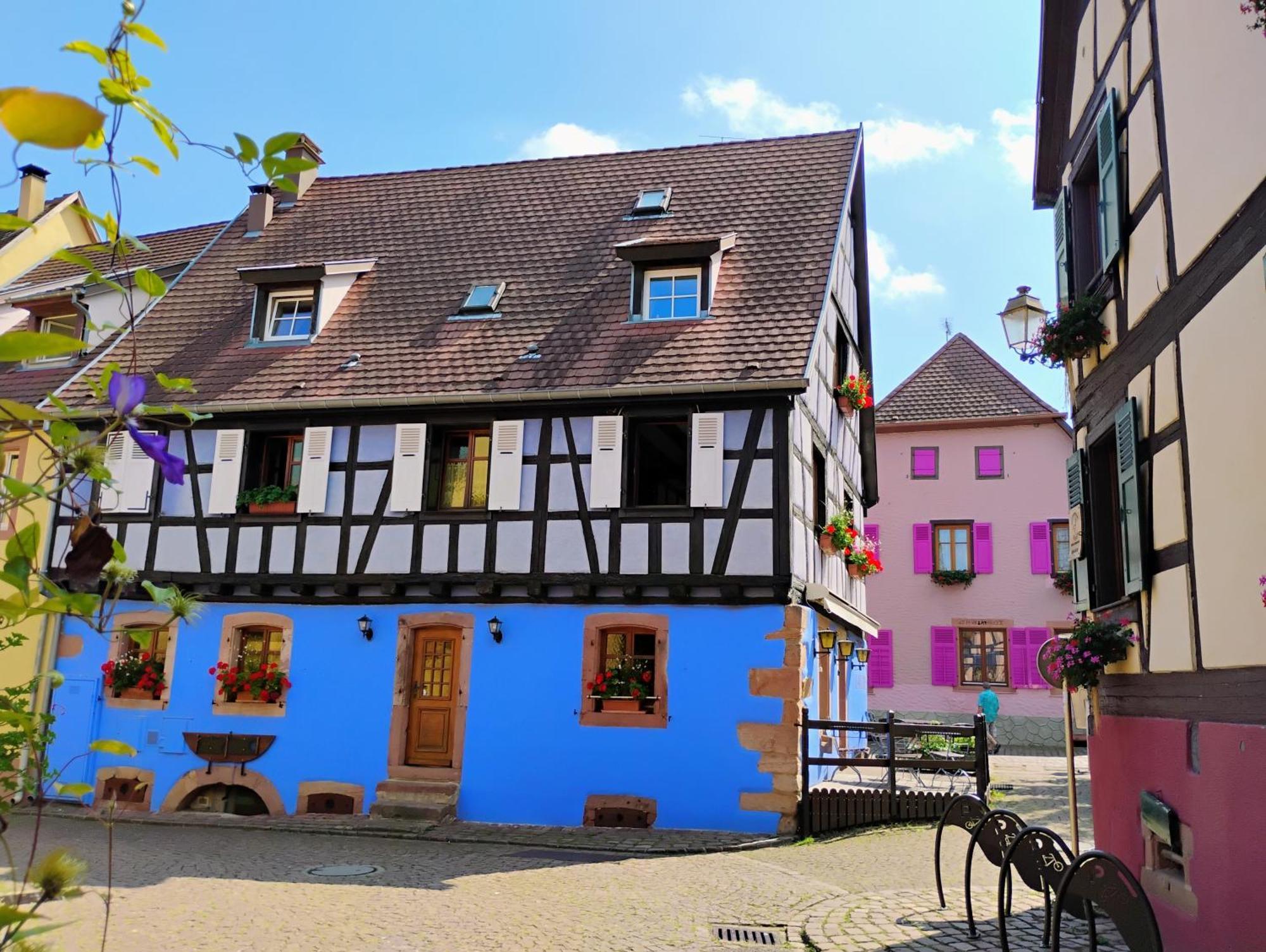 Gite Le Marronnier - Au Calme - Parking & Terrasse - Pres De Colmar Et Riquewihr - Route Des Vins Châtenois Eksteriør bilde