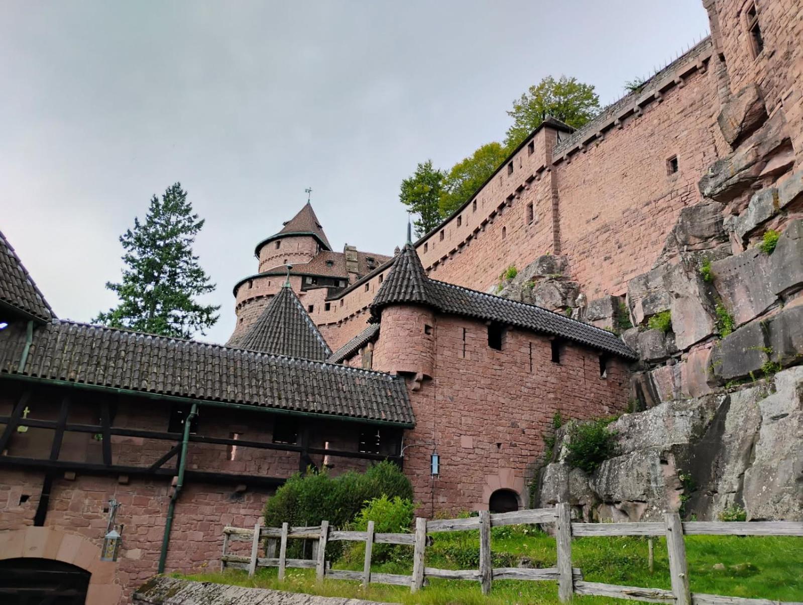 Gite Le Marronnier - Au Calme - Parking & Terrasse - Pres De Colmar Et Riquewihr - Route Des Vins Châtenois Eksteriør bilde