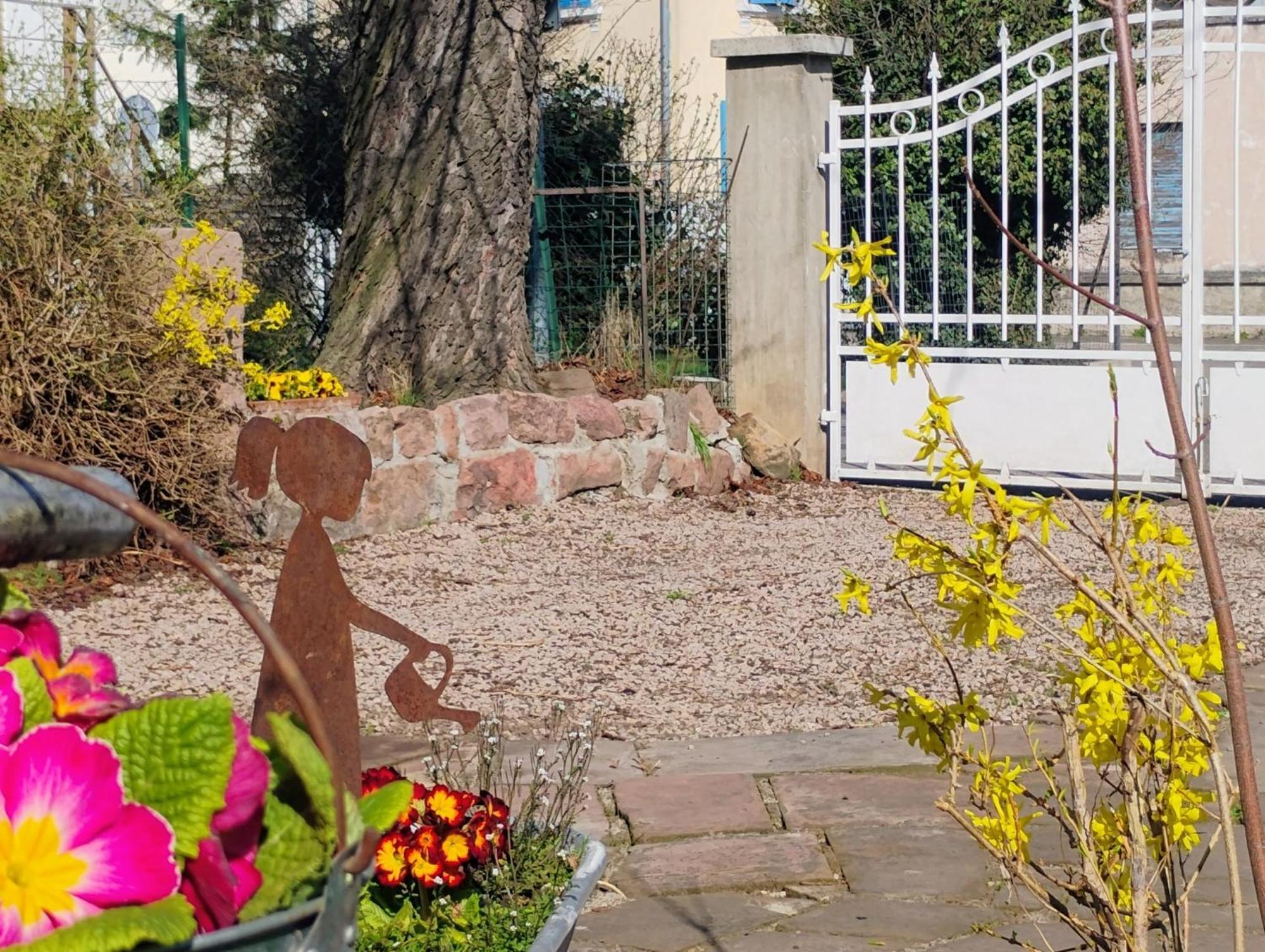 Gite Le Marronnier - Au Calme - Parking & Terrasse - Pres De Colmar Et Riquewihr - Route Des Vins Châtenois Eksteriør bilde