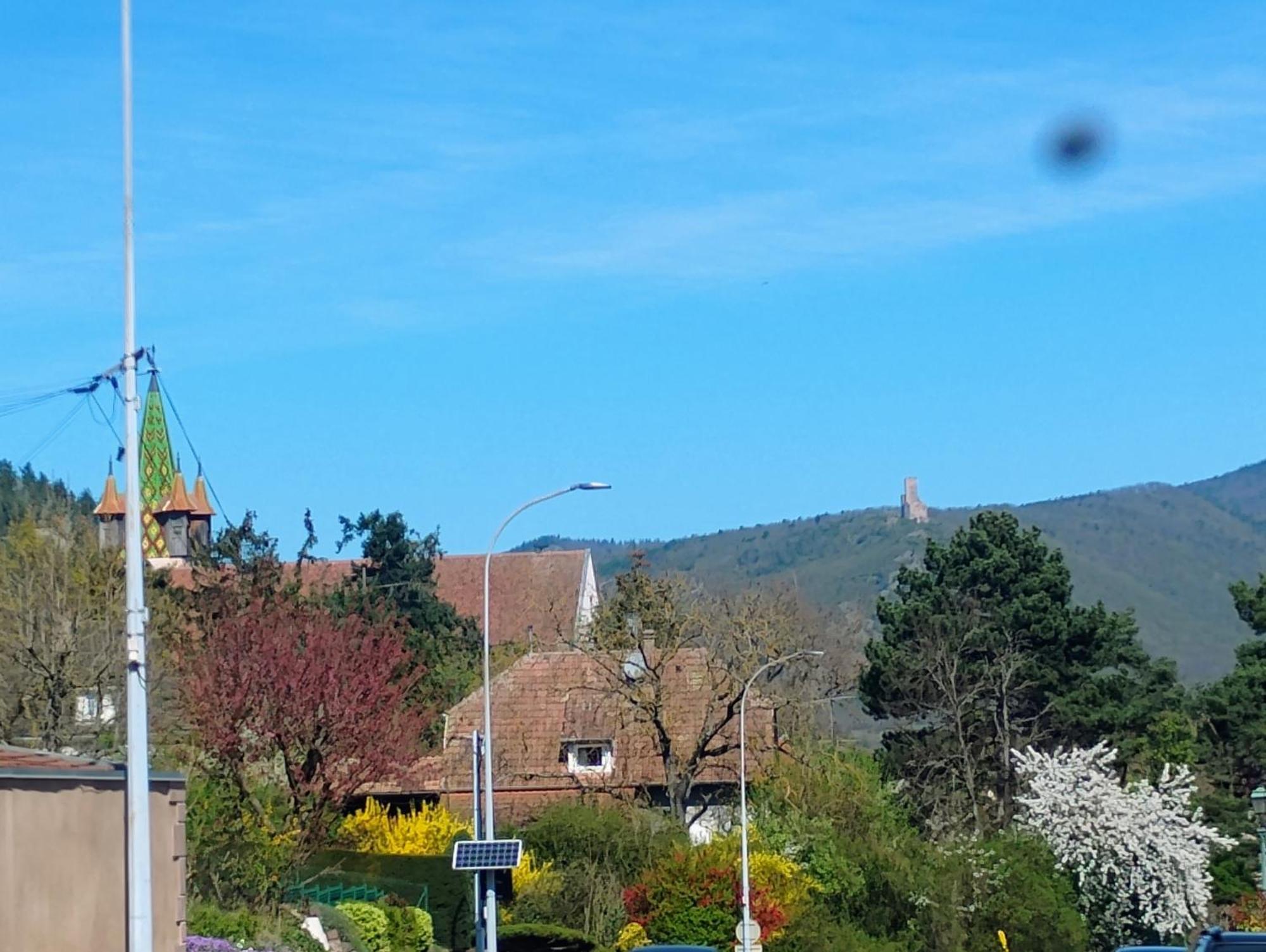 Gite Le Marronnier - Au Calme - Parking & Terrasse - Pres De Colmar Et Riquewihr - Route Des Vins Châtenois Eksteriør bilde