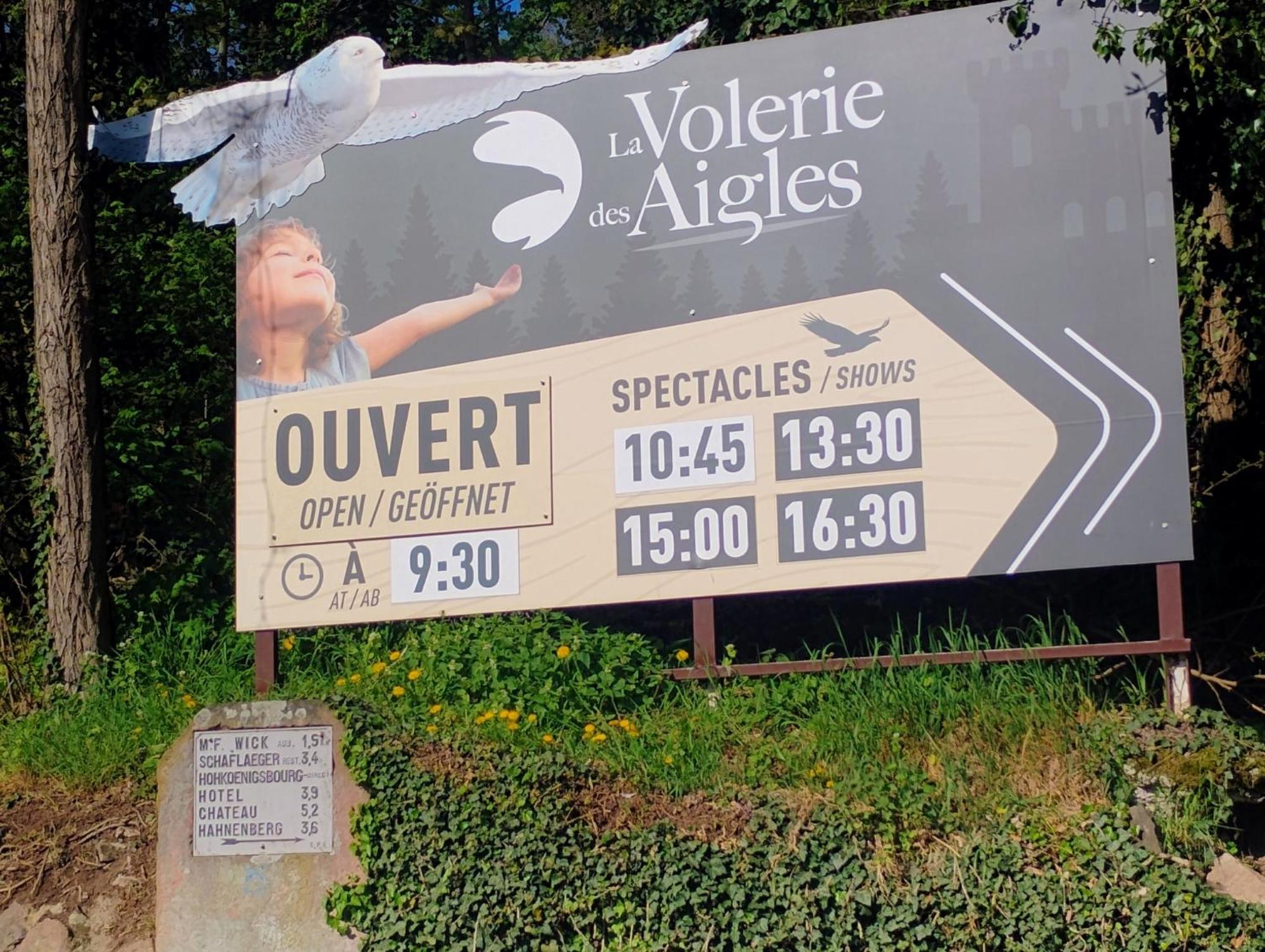 Gite Le Marronnier - Au Calme - Parking & Terrasse - Pres De Colmar Et Riquewihr - Route Des Vins Châtenois Eksteriør bilde
