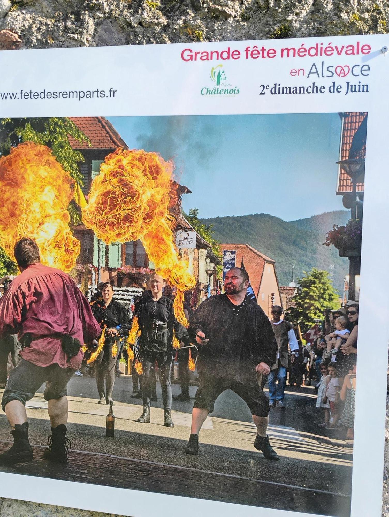 Gite Le Marronnier - Au Calme - Parking & Terrasse - Pres De Colmar Et Riquewihr - Route Des Vins Châtenois Eksteriør bilde
